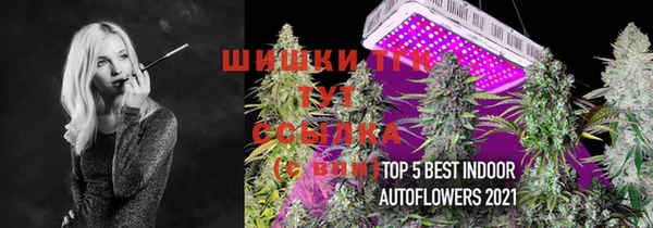 прущий лед Нея