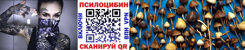 купить наркотики цена Исилькуль мега ONION Псилоцибиновые грибы мицелий